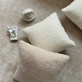 thumbnail image 5 of New Combo Set of 2 Pillow Covers With Inserts IV, 5 of 6