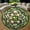 Clover1, variant on Round Rug, Lighthouse3 Cute Design Soft Washable Carpet, Non-Slip Floor Mat for Living Room Bedroom Home Decor 59 Inch