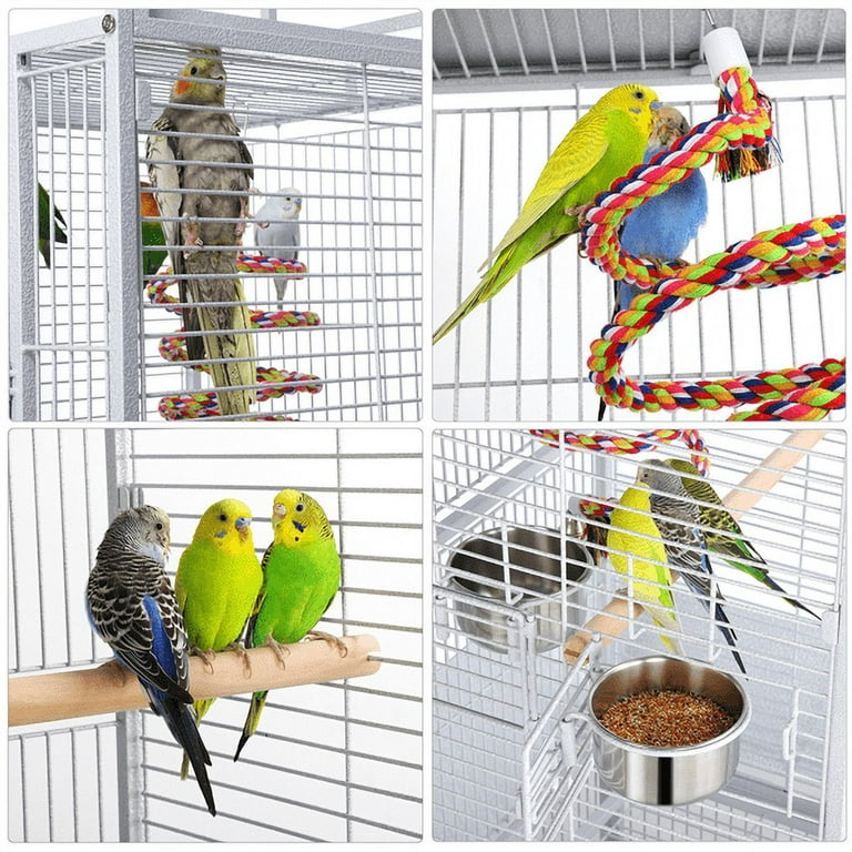 Best cage 2024 for a parakeet