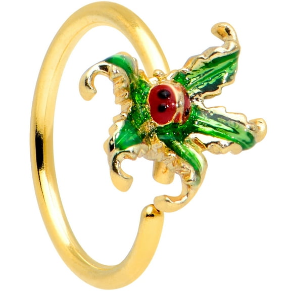 Body Candy Womens 20G PVD Steel Nose Ring Green Leaf Ladybug Nose Hoop Ring Circular Nose Ring 5/16”