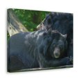 thumbnail image 2 of Black Bear Couple Black Bear Troop Print Animal Wall Art Wildlife Canvas Prints Wall Art Ready to Hang Unframed, 2 of 18