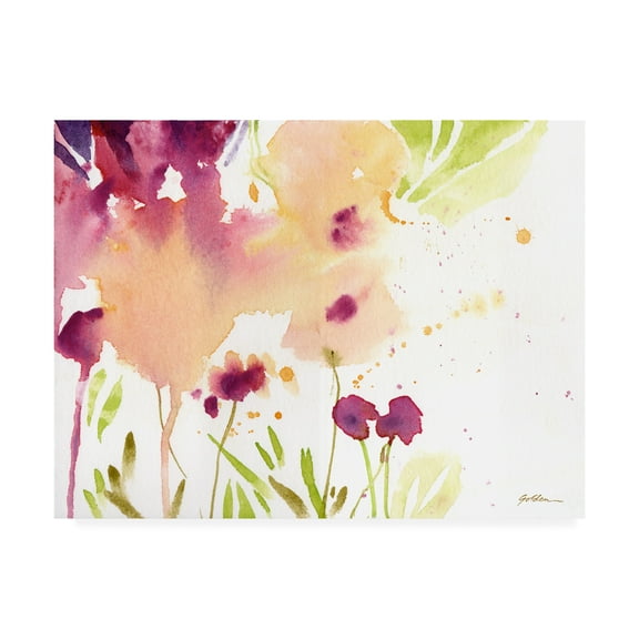 Trademark Fine Art 'Maroon' Canvas Art by Sheila Golde