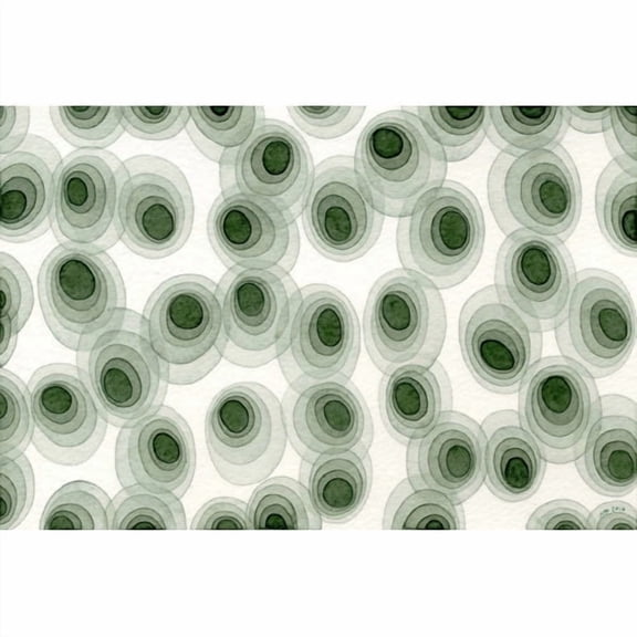 Marmont Hill "Earthy Green Ovals" by Nikki Galapon Painting Print on Wrapped Canvas