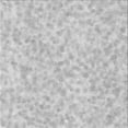 thumbnail image 1 of Ahgly Company Indoor Square Patterned Dark Gray Area Rugs, 8' Square, 1 of 6