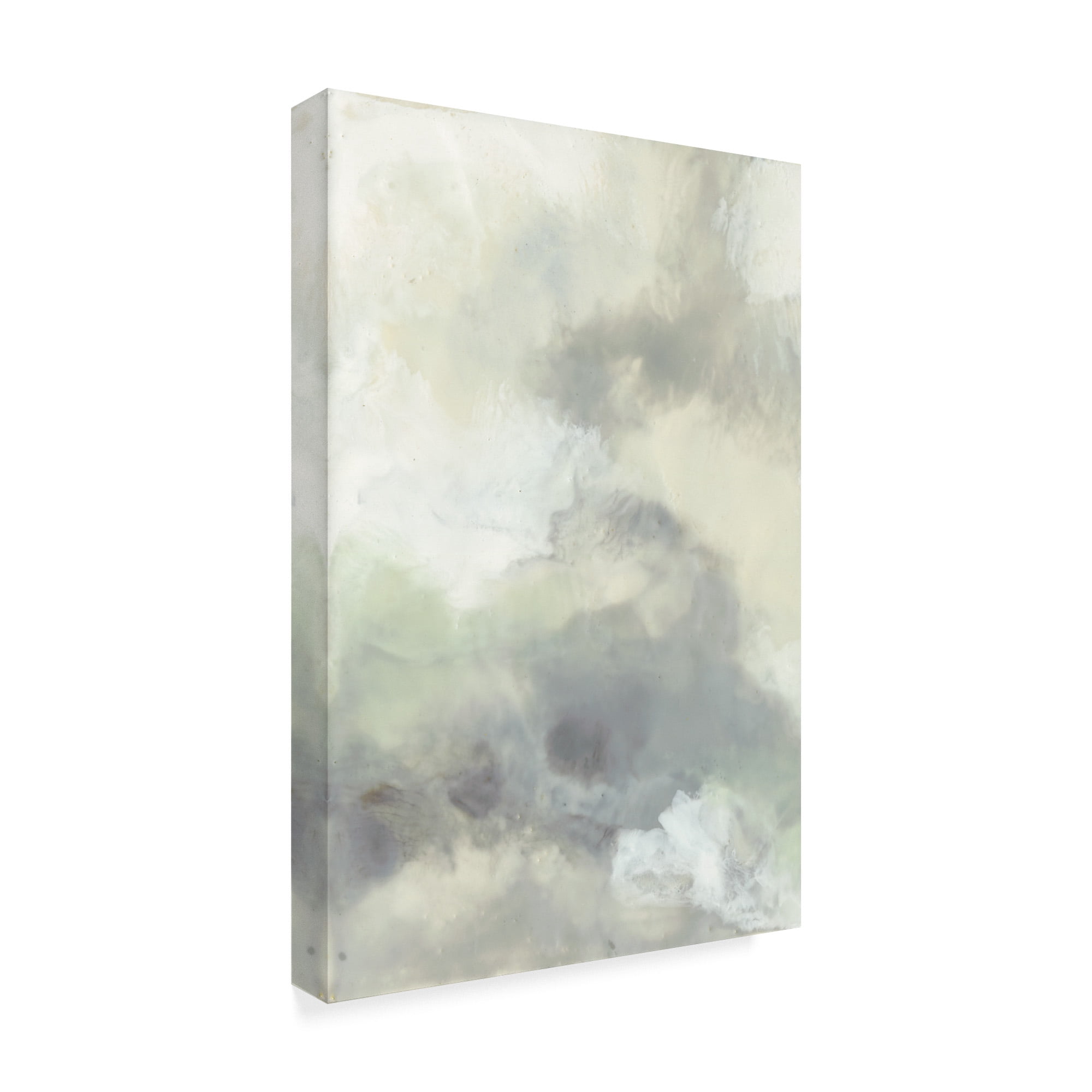 Trademark Fine Art 'Cloud Impressions I' Canvas Art by Jennifer Goldberger