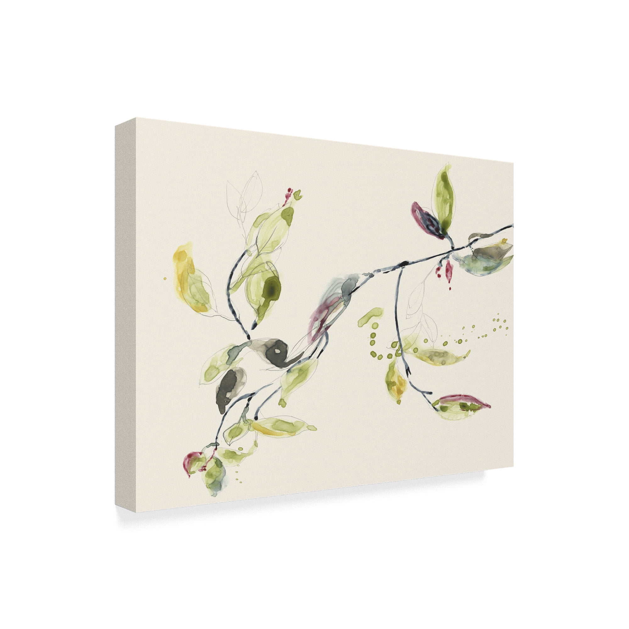 Trademark Fine Art 'Leaf Branch I' Canvas Art by Jennifer Goldberger
