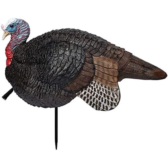 Hunting Lil Gobstopper Jake Turkey Decoy Light-Weight Hunting Decoy 69074, Multi$$Other