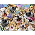 thumbnail image 4 of Ceaco Companion Selfies 500-Piece Interlocking Jigsaw Puzzle for Adults Ages 14+, 4 of 6