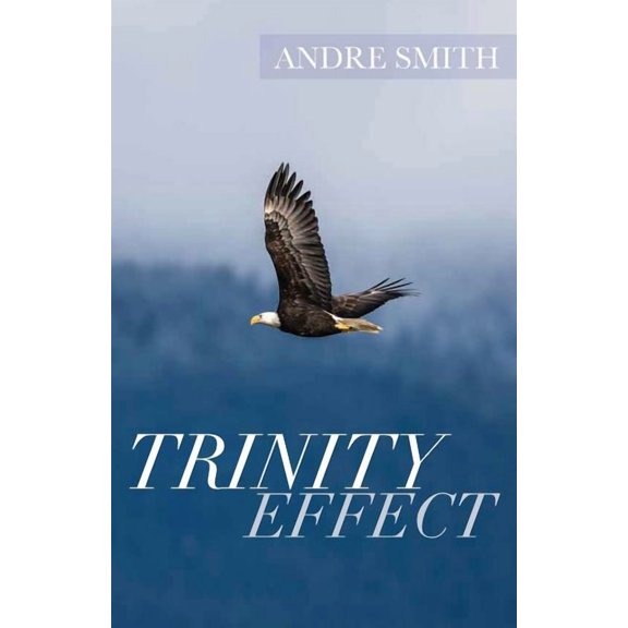 Trinity Effect (Paperback)