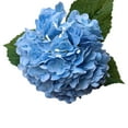 thumbnail image 2 of Peonía Artificial Gran ramo de flores artificiales realistas con 196 pétalos para decoración de bodas (azul,1 pieza) Rkxzt, 2 of 9