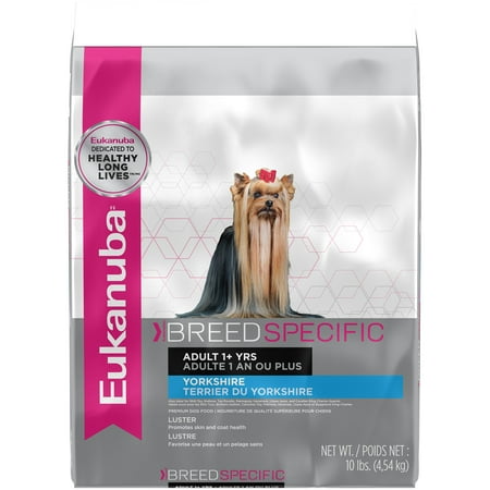 Eukanuba Breed Specific Yorkshire Terrier Nutrition Dry Dog Food, 10 (Best Dog Food For Gassy Boston Terrier)