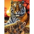 thumbnail image 1 of CHAO Kits completos de pintura de diamante de tigre, bordado 5d, pintura de diamante, kit completo de animales, punto de cruz, diamantes de imitación, bordado de diamantes, arte artesanal para el hoga, 1 of 5