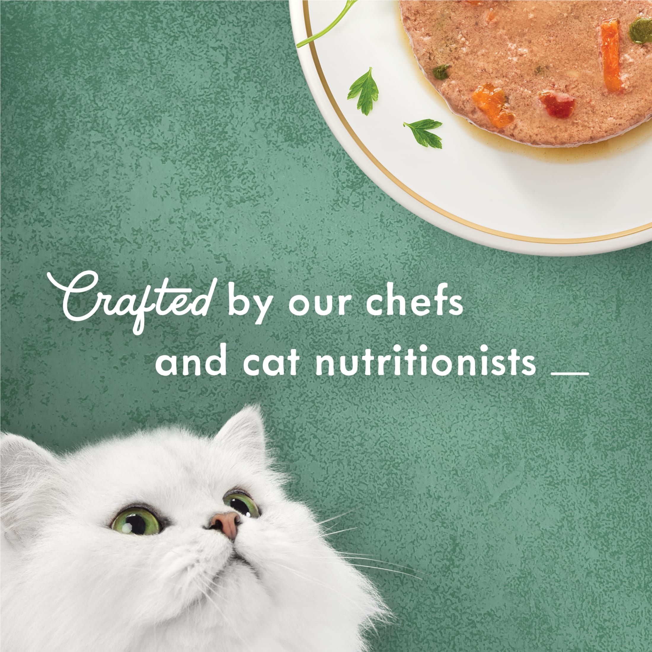 Purina Fancy Feast Medleys Pate Kitten Food, Wet Cat Food, Salmon Primavera, 3 oz Cans, 24 Pack
