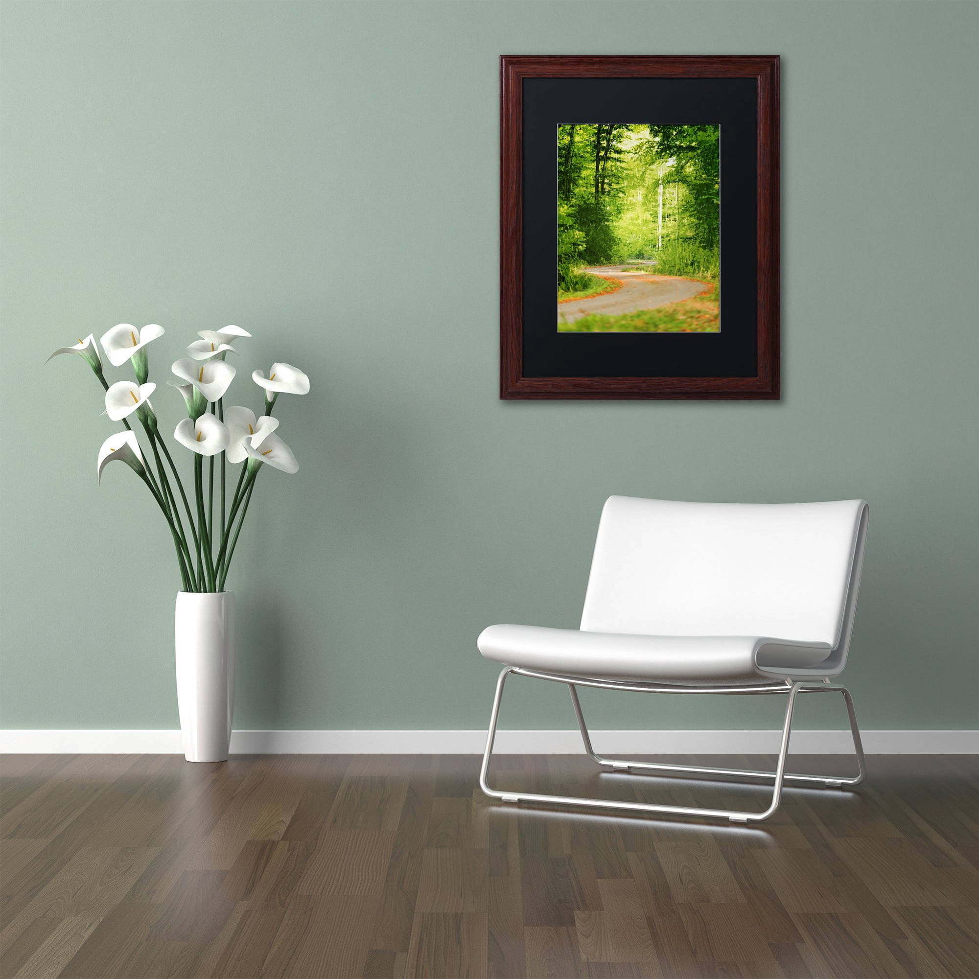 Trademark Fine Art "S Road" Canvas Art by Philippe Sainte-Laudy Black Matte, Wood Frame
