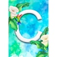 thumbnail image 2 of America Forever Summer Flowers Birds Monogram House Flag Letter C 28 x 40 inches Hummingbird Calla Lily Spring Floral Double Sided Vertical Outdoor Yard Lawn Decorative White Floral House Flag, 2 of 5