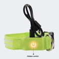 thumbnail image 4 of SPRING PARK Dual Fiber Shiny LED Dog Collar, USB Rechargeable Polyester Webbing Adjustable Glowing Pet Safety Collar, Reflective Light Up Collars, 4 of 7