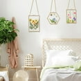 thumbnail image 2 of 3 Packs Pressed Flowers Glass Frames- Golden Hanging Picture Frames with Chain Floating DIY Artwork Display, 2 of 7
