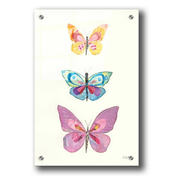 Epic Art 'Butterfly Charts III' by Courtney Prahl, Acrylic Glass Wall Art, 24"x36"