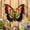 Black Gold, variant on Metal Butterfly Wall Decor - Outdoor Fence Wall Art Decor, Glass Hanging Decoration for Hom Garden Yard Living Room Bedroom Patio Balcony (Black Gold)