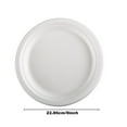 Kwlinmg Food Storage 9 Inch Compostable Disposable Plates [125 Pack