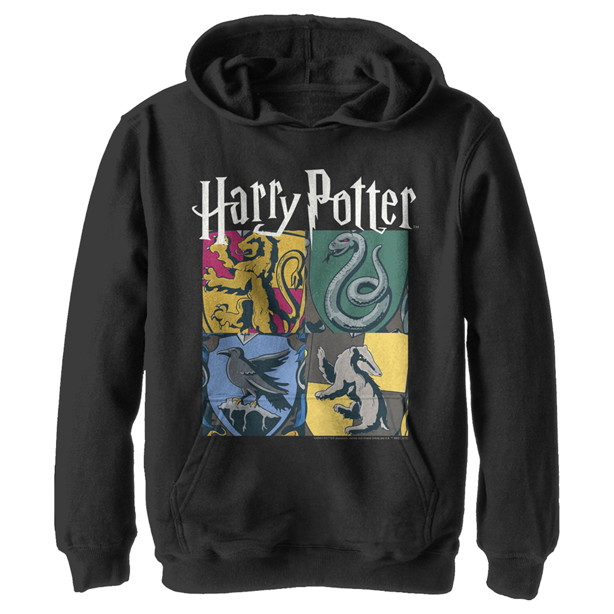 Harry Potter inspired Straight Outta Hogwarts kids hoodie 