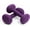 Purple, variant on YOTTOY Dumbbell Set of 2 — 3 lb Each (6 lb Pair) PURPLE Non-Slip Hand Weights for Women — Home Gym & Full-Body Toning