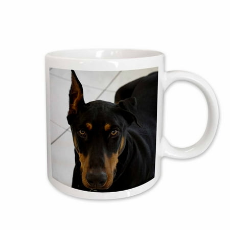 

3dRose Doberman Ceramic Mug 15-ounce
