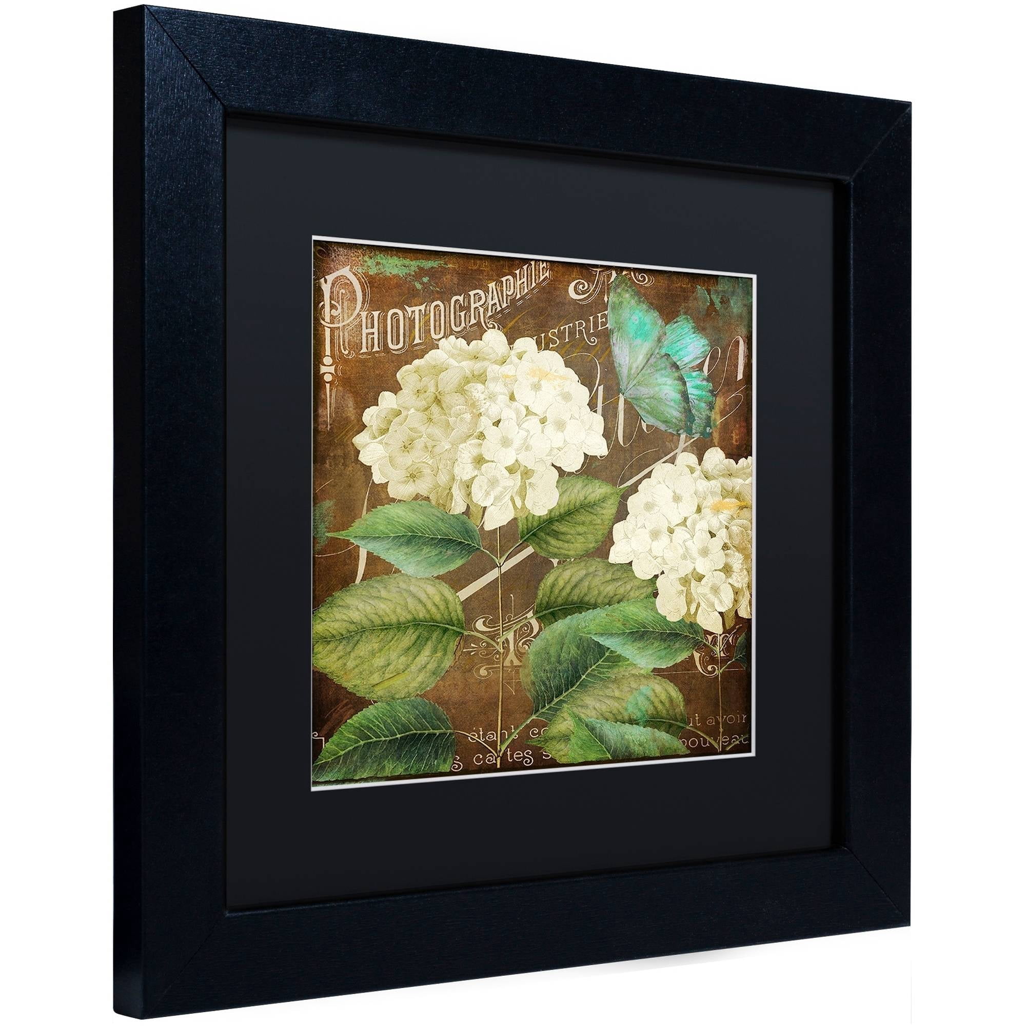 Trademark Fine Art "Alabaster Hydrangea" Canvas Art by Color Bakery Black Matte, Black Frame