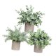 thumbnail image 5 of Plantas Artificiales en Maceta Strade Fareast Limited 3 Piezas Decorativas Estilo A, 5 of 8