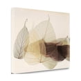 thumbnail image 2 of Tangletown Art, 28 x 21 "Chablis " by Durwood Zedd, Gallery Wrap Canvas Art prin, 2 of 2
