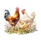 thumbnail image 3 of Calcomanía de pared decorativa de gallo y pollo, papel tapiz de PVC fácil de quitar para granja, comedor, sala de estar, ventanas de vidrio, 3 of 9
