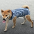 thumbnail image 3 of Recovery Suit for Dogs Cats After Surgery, Recovery Shirt for Male Female Dog Abdominal Wounds Bandages Cone E-Collar Alternative, Anti-Licking Pet Surgical Recovery Snuggly Suit, Soft Fabric Onesie, 3 of 10