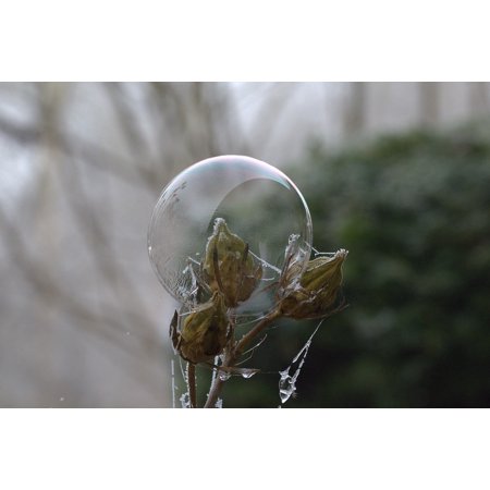 Frozen Pattern Freeze Structure Soap Bubble Cold-20 Inch By 30 Inch Laminated Poster With Bright Colors And Vivid Imagery-Fits Perfectly In Many Attractive Frames