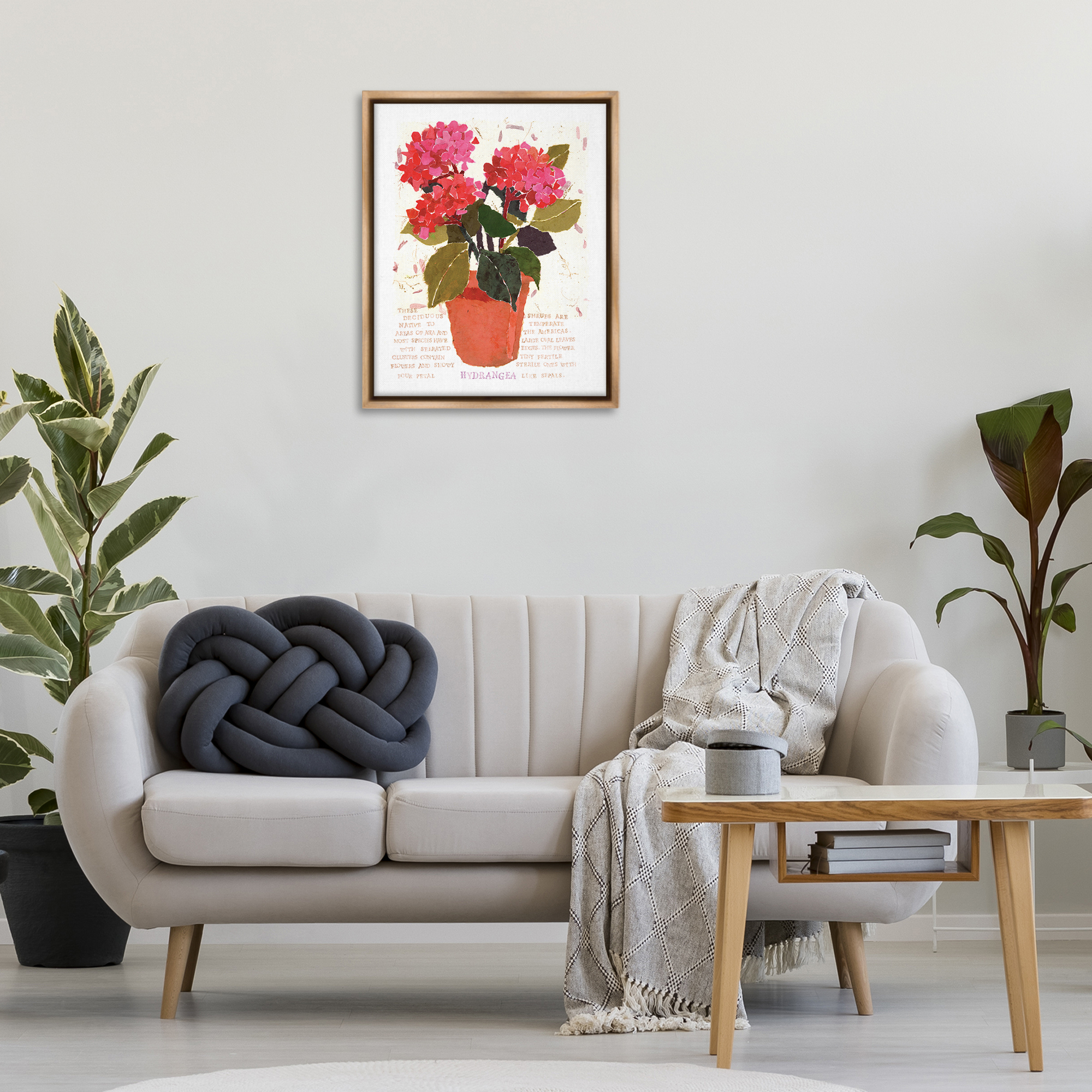 Stupell Industries Bold Red Hydrangea Botanical & Floral Painting Brown Floater Framed Art Print Wall Art, 25 x 31