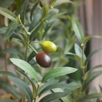 7ft Faux Olive Tree with Natural Wood Trunk and Realistic Leaves for Indoor Outdoor Home Office Decor