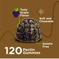 thumbnail image 4 of Viteey Iron Gummies for Kids with Vitamin C, Daily Iron Supplement, Grape Flavor, 120 Ct, 4 of 7