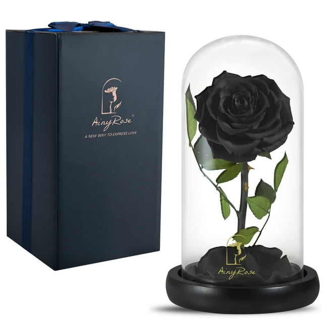 SW Forever Preserved Real Black Rose Flower Regalos de cumpleaños para mamá y mujer, regalos de San Valentín, flor eterna negra en cristal, regalos para el día de San Valentín, día de la madre, Navida