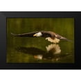 thumbnail image 2 of Breau, Susan 14x11 Black Modern Framed Museum Art Print Titled - The Reflective Pond, 2 of 5