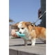 thumbnail image 5 of Dispensador de agua de viaje para mascotas con tazón de comida para caminar a prueba de fugas para gatos y cachorros, dispensador de botellas de agua, tazón portátil para comida, 5 of 5