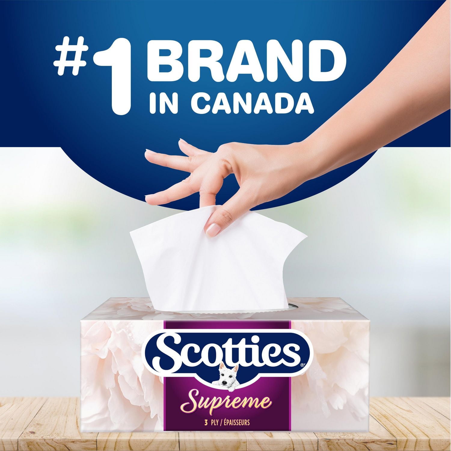 Scotties Supreme 3 Ply Soft & Strong Facial Tissue, Hypoallergenic and Dermatologist Tested, 18 Boxes, 81 Tissues per Box, 18 Boxes, 81 Tissues per Box.