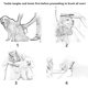 thumbnail image 4 of Peine para perros, peine para mascotas de doble cara, herramienta profesional de aseo para cepillar, quitar el pelo suelto, antipiojos y antipulgas., 4 of 5