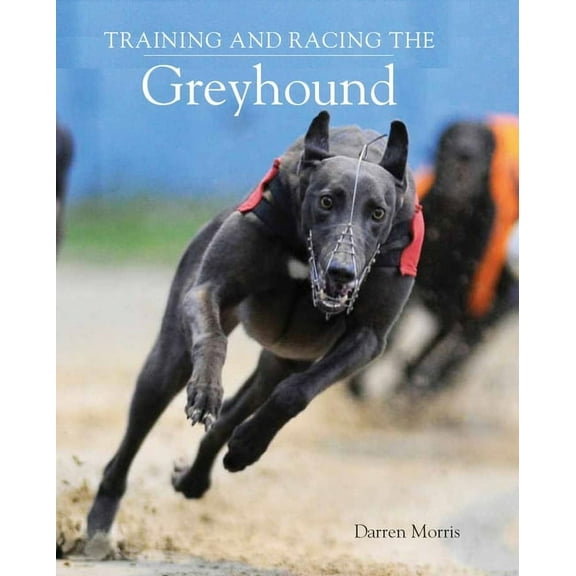 Training and Racing the Greyhound (Paperback)