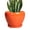 Glossy Orange, variant on Ceramic Modern Glaze Succulent Planter Pot with Drainage Hole and Saucer 6 Inch Round Flower Plant Pot for Indoor Outdoor Herb Snake Plants