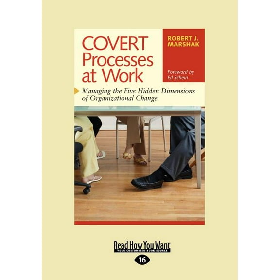 Covert Processes at Work: Managing the Five Hidden Dimensions of Organizational Change (Easyread Large Edition), (Paperback)