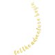thumbnail image 1 of unbranded De Fiesta Con Banner Dorado De Purpurina Para Interiores Y Exteriores, 1 of 6