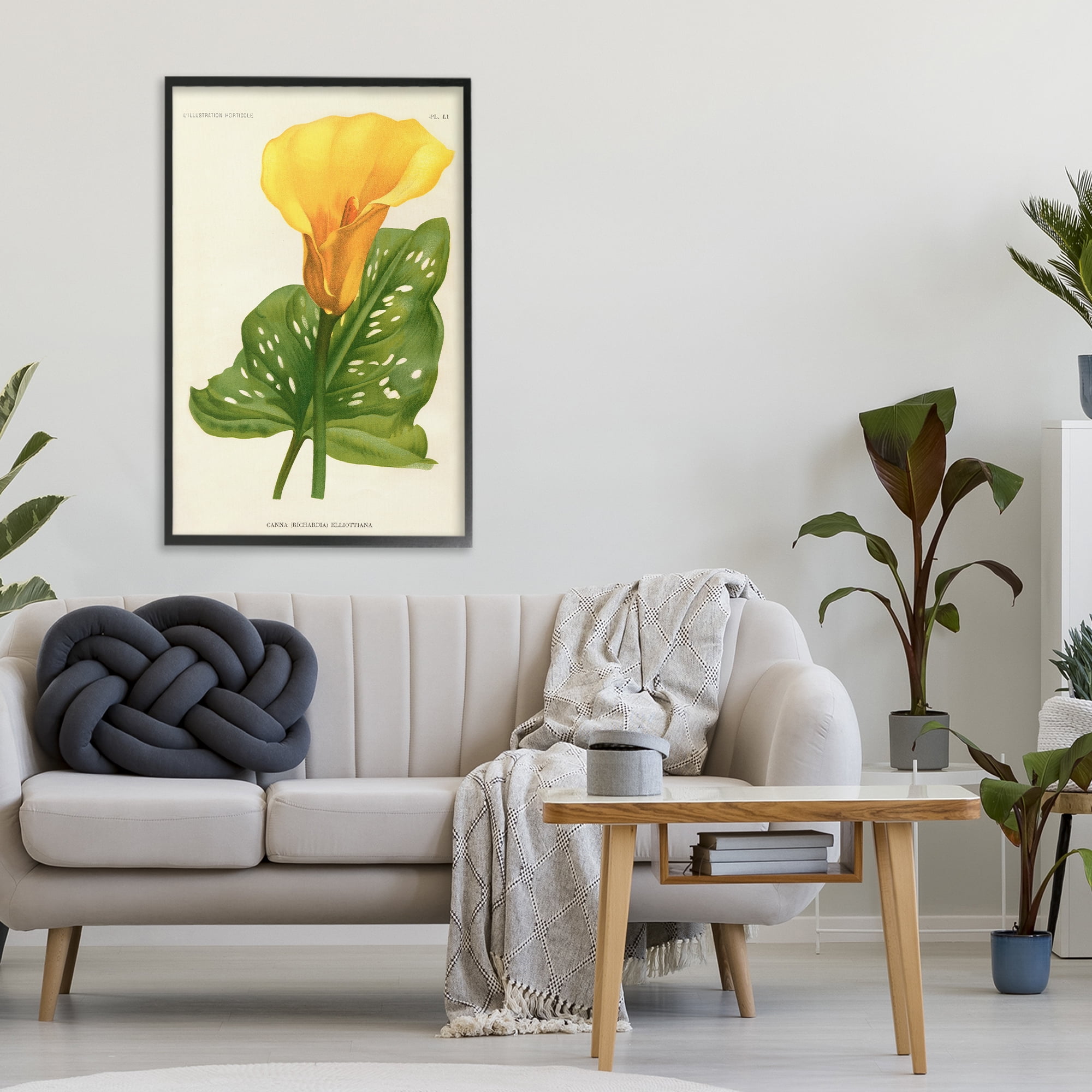 Stupell Industries Yellow Canna Lily Black Framed Giclee Art, design by Print Collection