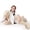 Bunny-Brown, variant on MaoGoLan 31.5" Giant Bunny Stuffed Animal Large Stuffed Bunny Plush Toy