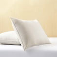 thumbnail image 3 of 2pk Big Lion Zig Zag Pillows, 3 of 4