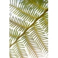 thumbnail image 2 of Millet, Karyn 11x14 Gold Ornate Wood Framed with Double Matting Museum Art Print Titled - Fern, 2 of 4