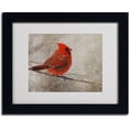 thumbnail image 2 of Trademark Fine Art 'Cardinal In Winter' Matted Framed Art by Lois Bryan, 2 of 2